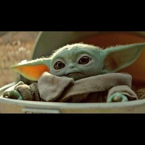 Meet your Posher, Bree